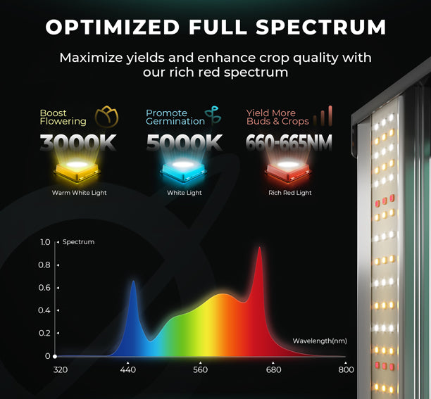 Mars Hydro FC 3000 EVO groeilamp full spectrum specificaties